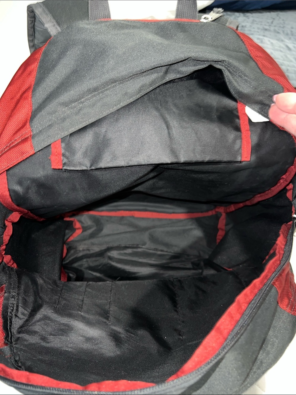 Jansport Black and Burgundy Everyday Backpack - Picture 6 of 6